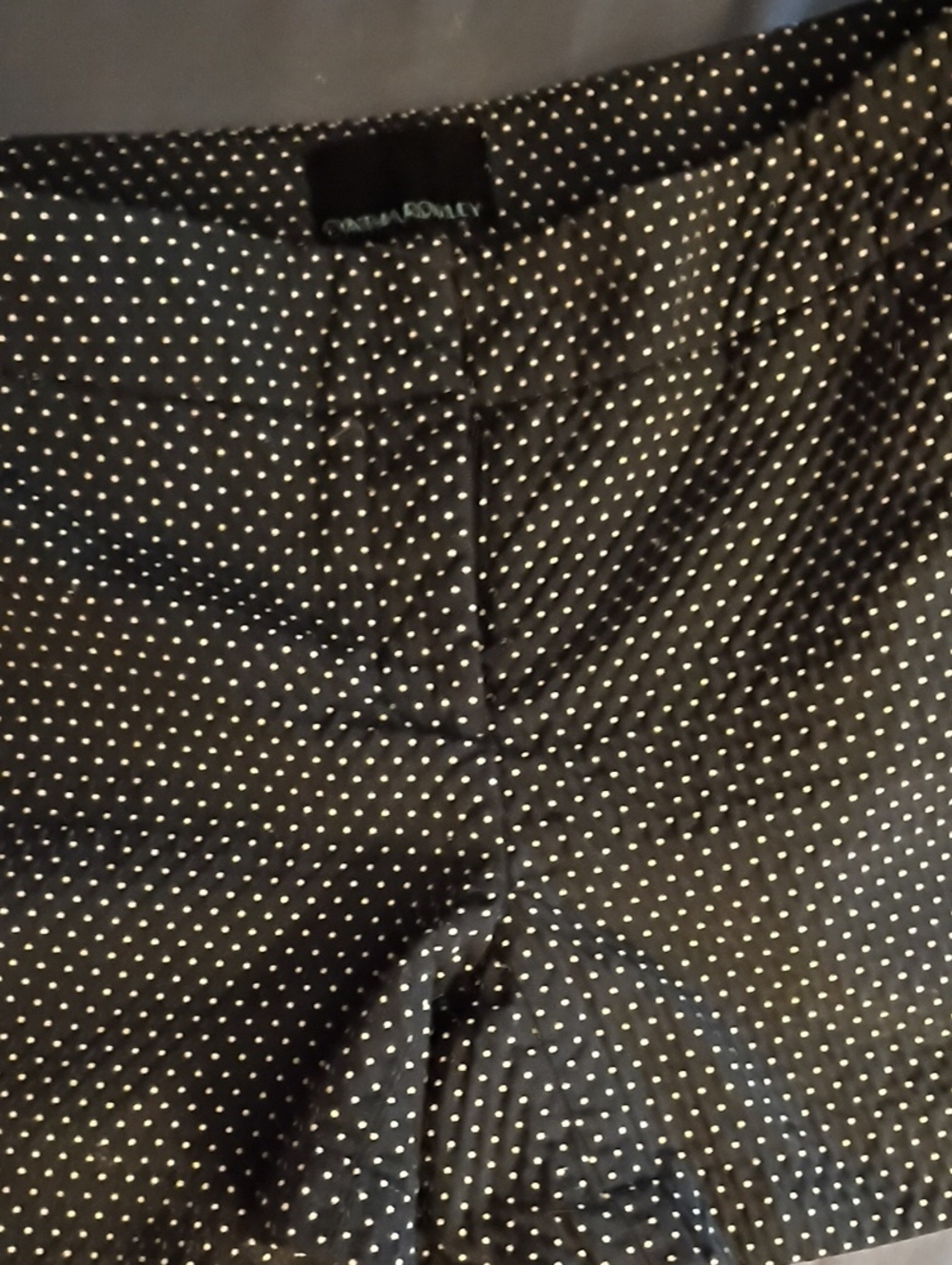 Navy And White Cynthia Rowly Swiss Dot Shorts SZ 6